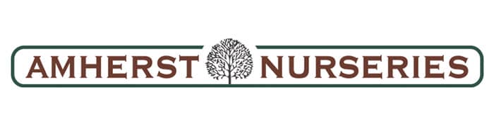 Amherst Nurseries logo