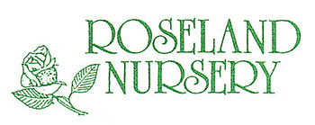 Roseland Nursery